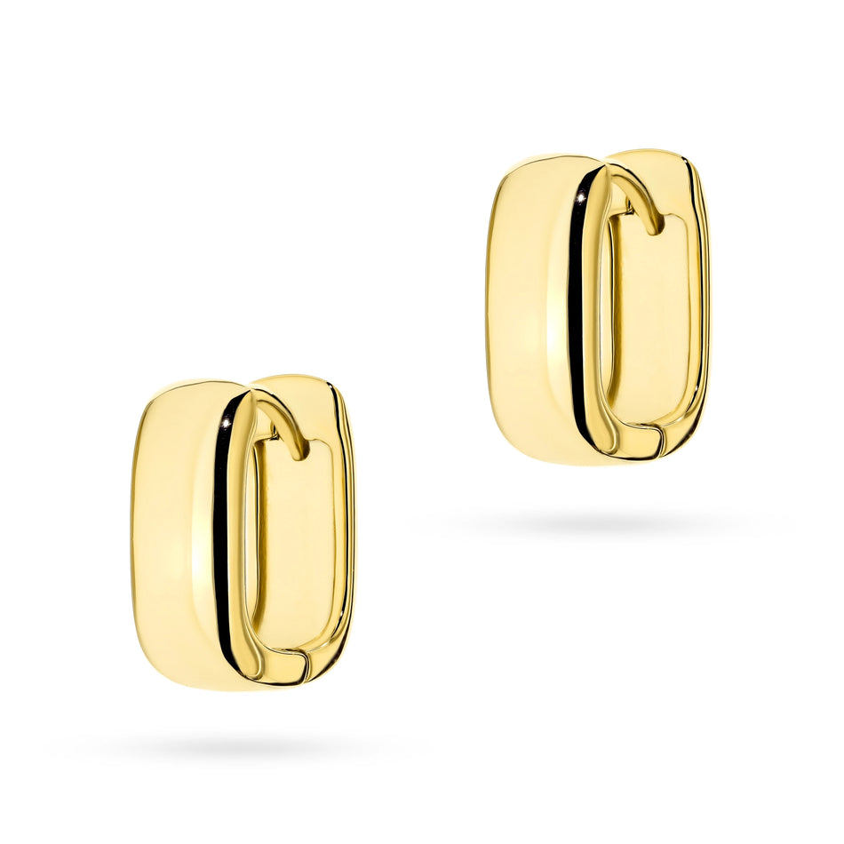 Pozlátené Strieborné náušnice