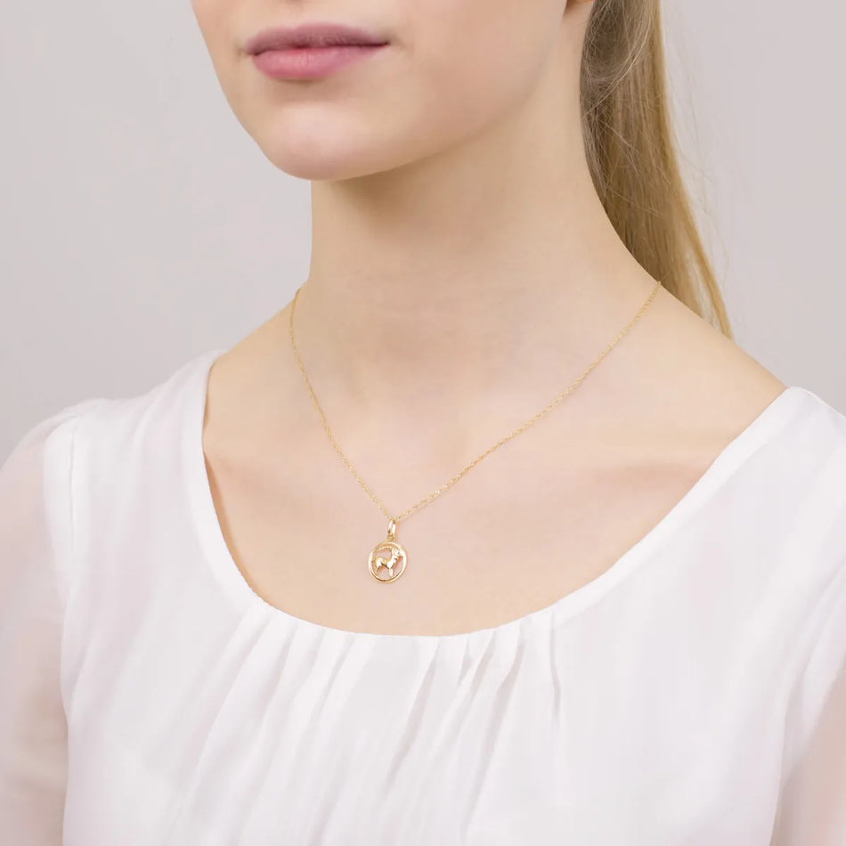 Zlatý prívesok znamenie zverokruhu Kozorožec